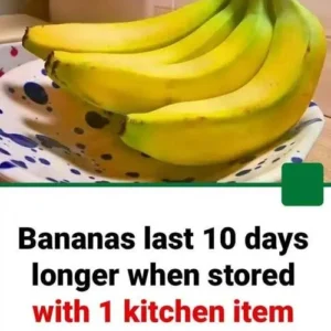 706397657 122327313992011573 1527434833634426893 N