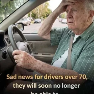 713883837 122328453020011573 6296016923830617581 N