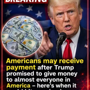 723481482 122330167202011573 5444253843845250648 N