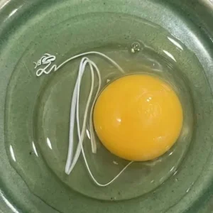 725074283 894933513649840 1000142851698057409 N