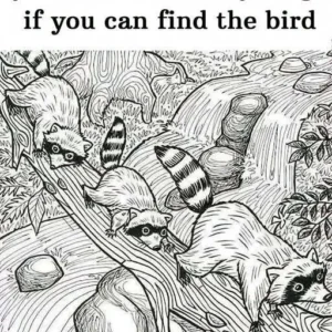 829544400 1105996095208556 8123345290242518906 N