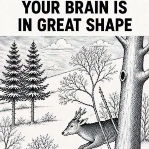 839524713 28662412833399837 2432102619898901844 N